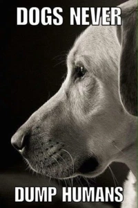 Inspirational dog refrigerator magnet - Picture 1 of 1