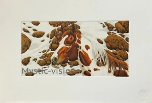 Bev Doolittle Hide and Seek Cameo Print "B" Fine Art Print Limited Edition - Picture 1 of 1