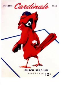 Angry Bird St. Louis Cardinals 1955 8x10 foto repro tarjeta de puntuación cubierta béisbol - Imagen 1 de 1