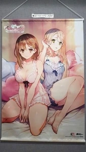 [Rotolo da parete tappezzeria] Reisalin Klaudia Atelier Ryza B2 taglia limitata dal Giappone - Foto 1 di 4