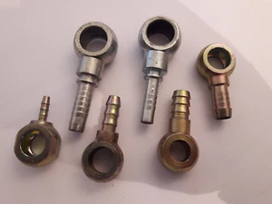 Ringösen - Bild 1 von 6