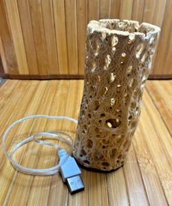 Hand Crafted Upcycled USB Powered Natural Cholla Wood Mini LED Lamp - Picture 1 of 11