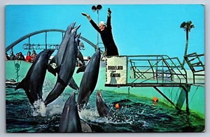 Postcard Marineland Florida Oceanarium Trained Porpoises St. Augustine Unposted - Picture 1 of 2