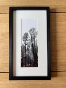 David Hockney Tall Black Trees In Mini Frame Striking - Picture 1 of 4