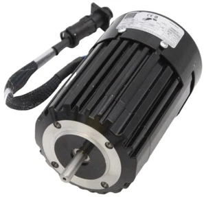 Motoriduttore elettrico Bodine 34R6BFPP 3 fasi 230 VOLT 1700 RPM - Foto 1 di 6