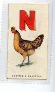 (Jf8205) OGDENS,POULTRY ALPHABET,NONDESCRIPT,1924,#14
