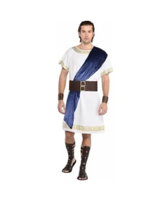 Toga - Roman Greek God - White/Blue - Costume - Men - One Size - Picture 1 of 1
