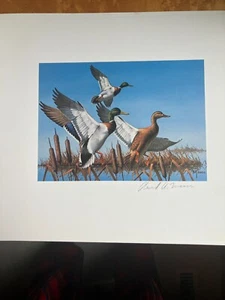 Stampa Francobollo Minnesota Duck 1977 - Primo di Stato - Francobollo A-S - Foto 1 di 4