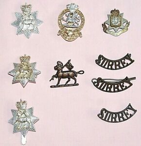 A COLLECTION OF 9 MILITARY CAP AND SHOULDER BADGES