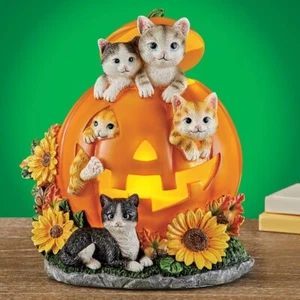 LED Lighted Halloween Kitty Cats in Pumpkin Sunflower Figurine Table Fall Decor - Picture 1 of 4