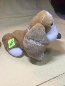 Vintage Hush Puppies November Welpen des Monats - Bild 1 von 2