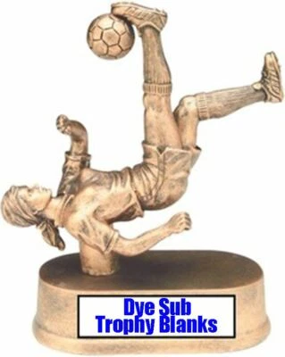 UV PLUS! 1" x 3" Aluminum Dye Sub Award, Trophy Plate or Badge Blanks - 100PCs