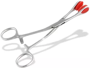 Pinza per piercing veterinario pinza per spugna pinza per lingua pinza per piercing pinza - Foto 1 di 6