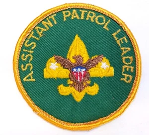 Patch 3" Boy Scouts of America Assistente Capo Pattuglia NUOVO Verde e Oro - Foto 1 di 3