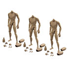 3x 1/6 Body And Head Narrow Shoulders Action Figure