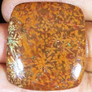 (30X33X4 MM SIZE) 45.10 Cts. NATURAL DINOSAUR CORAL CUSHION SHAPE LOOSE GEMSTONE - Picture 1 of 6