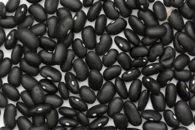 Bean Black Turtle Bean Seeds ,"COOL BEANS N SPROUTS" Brand. Home Gardening. - Image 1 of 2