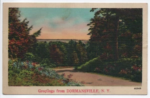 Grüße aus Dormansville NY Vintage Leinen Postkarte weißer Rand gestempelt - Bild 1 von 11