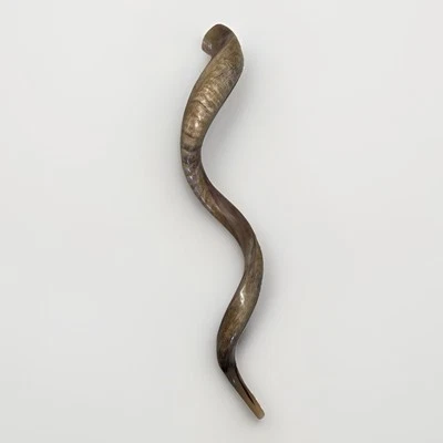 Shofar Yemenite Kudu Horn XXXL 50”-55” Nuevo Kosher Medio Polaco Envío Gratis EE. UU. Foto 1 de 4