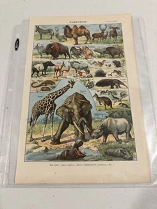 Nouveau Larousse illustre - Dictionnaire Universel Encyclopedique Original Page - Foto 1 di 2