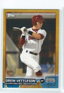 2015 Topps PRO DEBUT GOLD DREW VETTLESON 14/50 #183 NATIONALS SKU1114 - Picture 1 of 1
