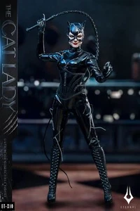 1/6 Scale Cat Lady Selina Kyle Normal Suit Female Solider 12in Action Figure Toy - Picture 1 of 24