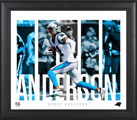Robby Anderson Carolina Panthers Framed 15" x 17" Player Panel Collage Cover