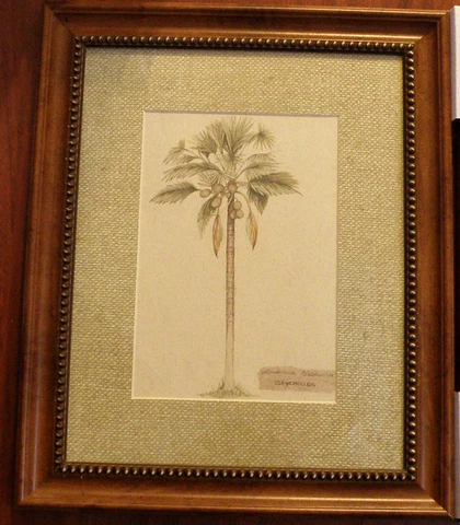 2 Tropical Palm Pictures In Frame+Genuine Leather Camel Cover