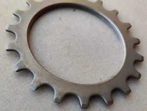 MAYBE REGINA BRAND FREEWHEEL SPARE PARTS COG 19 PIGNONE BICI - Bild 1 von 18