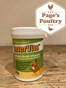 Intervits Soluble Multi Vitamin 50g for Poultry Quail Chicken Pigeon - RM48
