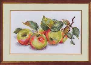 Apples 5-09 Alisa Kit punti incrociati contati - Foto 1 di 4