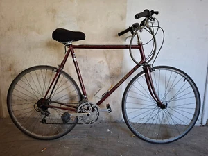 Bici Legnano anni 80 da uomo 28 xl marrone condizione buone usata da restauro - Foto 1 di 9