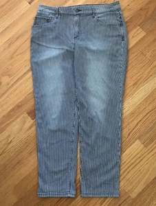 Chico’s Platinum Jeans Railroad Blue & White Stripe Pants Skimmer Size 1.5 10 - Picture 1 of 15