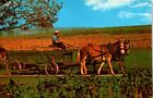 Chrome Postcard Amish Farmer Farm Wagon Horses Pennsylvania PA UNP