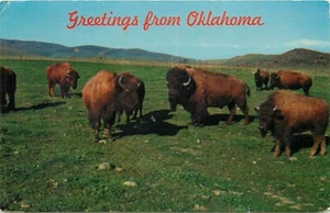 Greetings from Oklahoma Buffalo OK pm 1965 Postcard - Picture 1 of 2