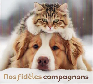 Sammler 4 Briefmarken - Unsere treuen Begleiter Hunde und Katzen - Grüner Brief - Bild 1 von 4