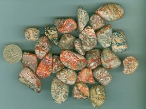 7.2 oz of Natural Leopard Skin Jasper Rough Tumbled Polished Natural Rough - Picture 1 of 1