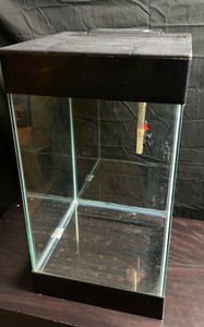 petco fish accessories