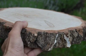 Wedding cake stand Large piece birch, wooden pieces, rustic wedding decor, woode - Picture 1 of 9
