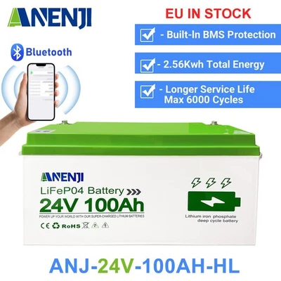 ANENJI LiFePO4 Batteria 24V 100Ah Bluetooth Power Battery BMS Camper Impianto Solare