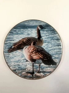 FREEZE UP Teller Winged Reflections R.S Parker Hamilton Collection Kanadagänse - Bild 1 von 16