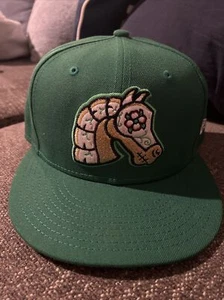 Charlotte Knights Hat Cap Fitted Mens 7 3/8 Green Minor League Baseball New Era - Picture 1 of 10