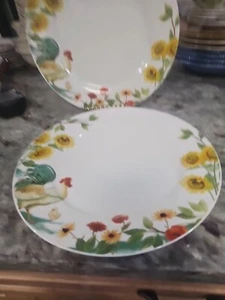 Pfaltzgraff Rooster Meadow Daphne B Ceramic Dinner Plate 10.5" Set Of 2 - Picture 1 of 4