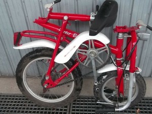 Biciclette pieghevoli Regina | Acquisti Online su eBay