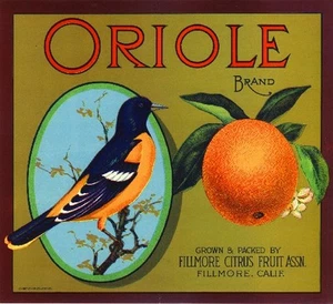 Fillmore Ventura County Oriole Bird 2 naranja caja de cítricos etiqueta impresión artística - Imagen 1 de 1
