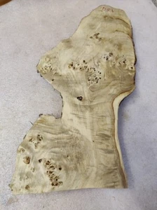 Disco de árbol 55 x 28 - 14 x 5,5 cm álamo máser resina epoxi D 53 - Imagen 1 de 12