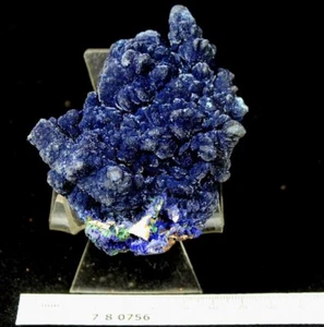 NUEVO de Laos 82mm Azul Drusy Azurita Espécimen Mineral CM780756 - Imagen 1 de 7