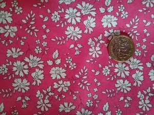 ORGANIC CAPEL B - floral -Liberty of London Tana Lawn cotton approx 134 x 10 cm - Picture 1 of 3