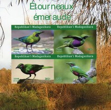 Madagascar Birds on Stamps 2021 MNH Emerald Starlings Starling 4v IMPF M/S
