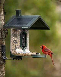 FeatherSnap Scout Wi-Fi Camera Solar Powered Smart Bird Feeder AI Identification - Picture 1 of 20